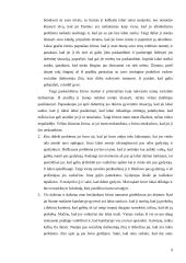 Atvejo studija 9 puslapis