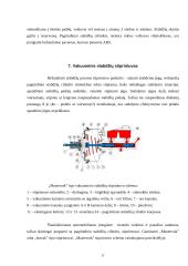 Automobilio diskinė stabdžių sistema 10 puslapis