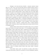 Automobilio diskinė stabdžių sistema 11 puslapis