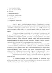 Automobilio diskinė stabdžių sistema 13 puslapis