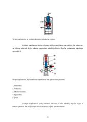Automobilio diskinė stabdžių sistema 14 puslapis