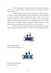 Automobilio diskinė stabdžių sistema 17 puslapis