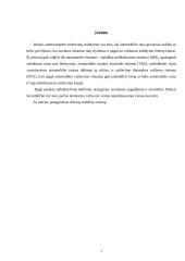 Automobilio diskinė stabdžių sistema 2 puslapis