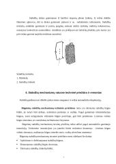 Automobilio diskinė stabdžių sistema 6 puslapis