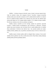 Automobilių diagnostika. Stabdymo efektyvumas 4 puslapis