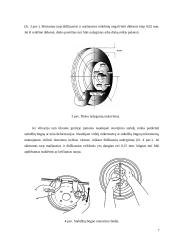 Automobilių diagnostika. Stabdymo efektyvumas 7 puslapis