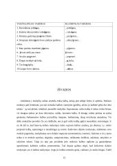 Balsių ir priebalsių tarimo trūkumai jaunimo kalboje 13 puslapis