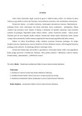 Bankų funkcijos, komerciniai bankai ir mokėjimų samprata 2 puslapis