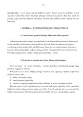 Bankų funkcijos, komerciniai bankai ir mokėjimų samprata 11 puslapis