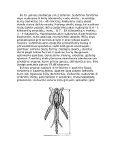 Bičių ir skruzdžių bendruomenių aprašymas 5 puslapis