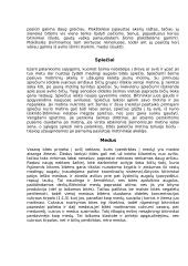 Pagrindinė informacija apie bites 4 puslapis