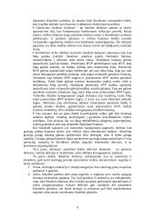 Biudžeto deficito ir valstybės skolos apibrėžimas 6 puslapis