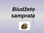 Biudžeto samprata