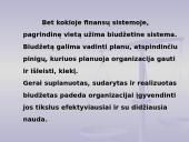 Biudžeto samprata 2 puslapis