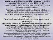 Biudžeto samprata 11 puslapis