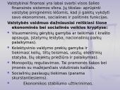 Biudžeto samprata 12 puslapis