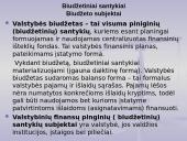 Biudžeto samprata 13 puslapis