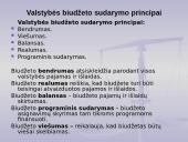 Biudžeto samprata 14 puslapis