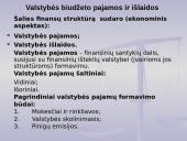 Biudžeto samprata 16 puslapis