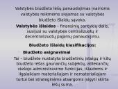 Biudžeto samprata 18 puslapis