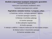 Biudžeto samprata 19 puslapis