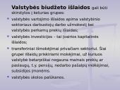 Biudžeto samprata 20 puslapis
