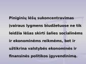 Biudžeto samprata 3 puslapis