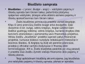 Biudžeto samprata 4 puslapis