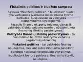 Biudžeto samprata 5 puslapis