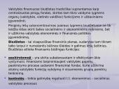 Biudžeto samprata 6 puslapis