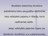 Biudžeto samprata 7 puslapis