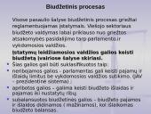 Biudžeto samprata 8 puslapis