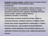 Biudžeto samprata 10 puslapis