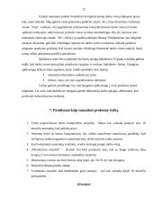 Buhalterio profesinė rizikos esmė ir svarba 12 puslapis