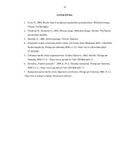 Buhalterio profesinė rizikos esmė ir svarba 14 puslapis