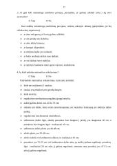 Buhalterio profesinė rizikos esmė ir svarba 17 puslapis