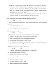 Buhalterio profesinė rizikos esmė ir svarba 19 puslapis