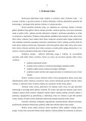 Buhalterio profesinė rizikos esmė ir svarba 3 puslapis