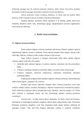 Buhalterio profesinė rizikos esmė ir svarba 4 puslapis