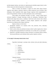 Buhalterio profesinė rizikos esmė ir svarba 5 puslapis