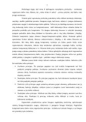 Buhalterio profesinė rizikos esmė ir svarba 7 puslapis