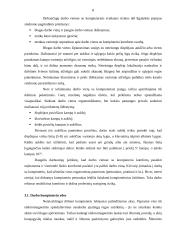 Buhalterio profesinė rizikos esmė ir svarba 8 puslapis