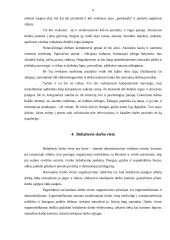 Buhalterio profesinė rizikos esmė ir svarba 9 puslapis