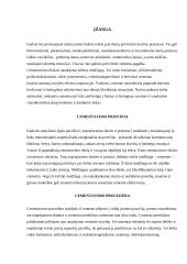 Cementai protezavimui 2 puslapis