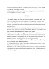 Cementai protezavimui 11 puslapis