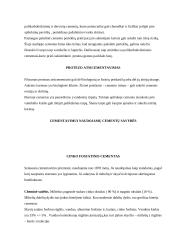 Cementai protezavimui 3 puslapis