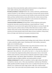 Cementai protezavimui 7 puslapis