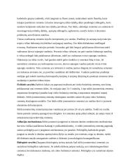 Cementai protezavimui 8 puslapis