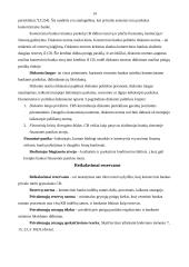 Centriniai valstybių bankai 13 puslapis