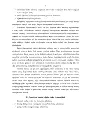 Centrinis bankas (CB) ir pinigų politika 7 puslapis